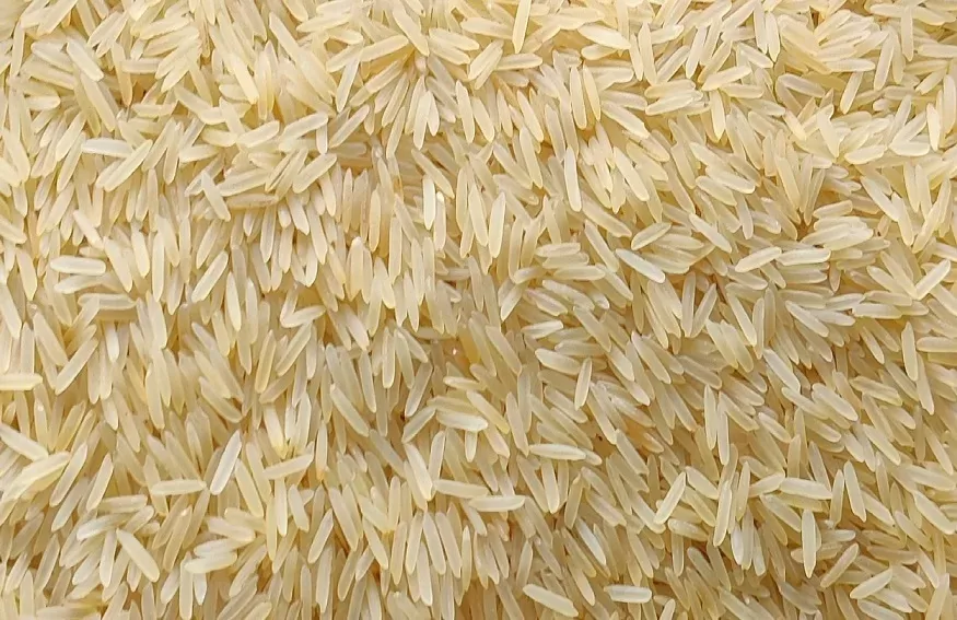 Sugandha Golden Sella Rice