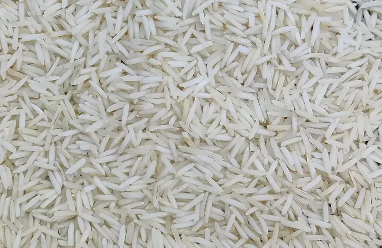 Sugandha Raw Rice